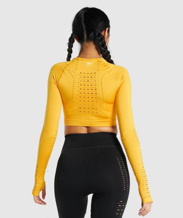 Damske Crop Top Gymshark Glow Long Sleeve Seamless Žlté | DR5864921